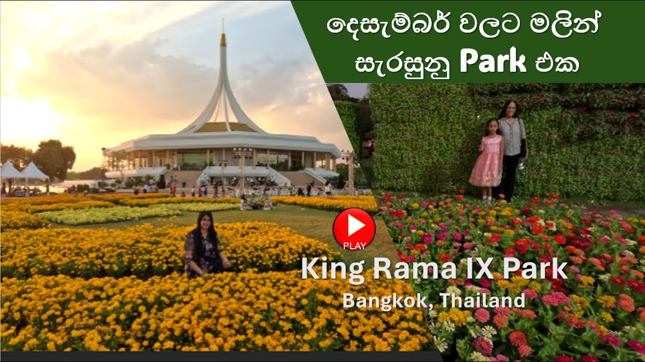 දෙසැම්බර් වලට මලින් සැරසුනු Park එක | King Rama IX Park