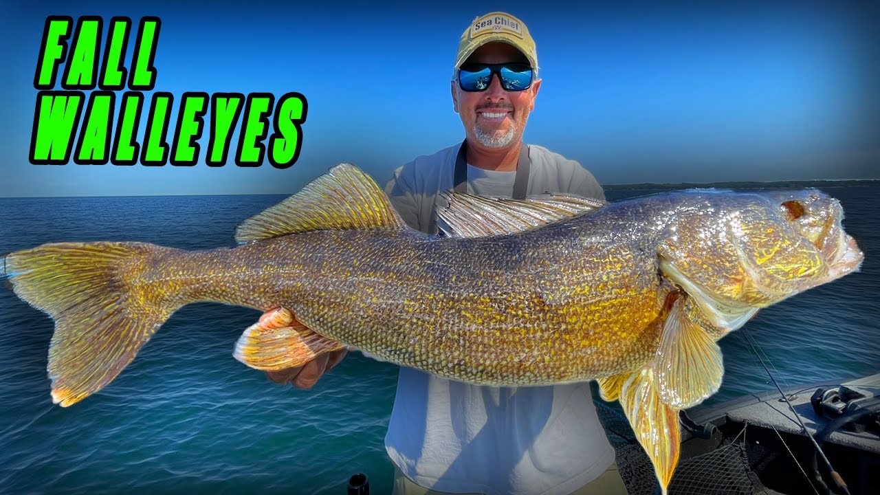 How to Find and Catch Big Fall Walleyes and Smallmouth!