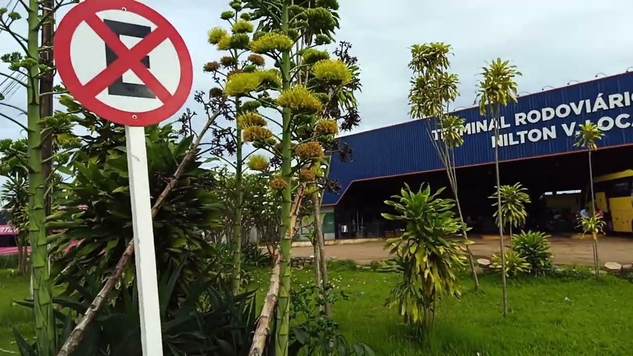 RODOVIÁRIA DE VILHENA BR 364 #vilhena #rondonia #amazonia #natureza 