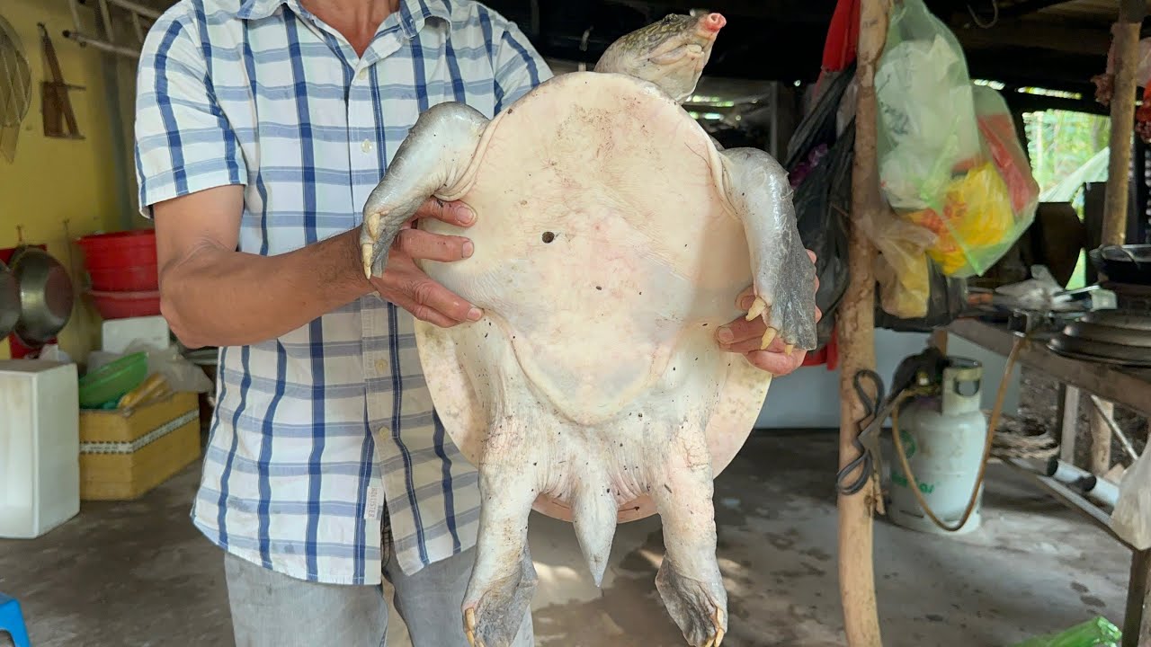 Cua Đinh gần 7kg nấu 2 món | Lần đầu ăn Cua Đinh quá ngon