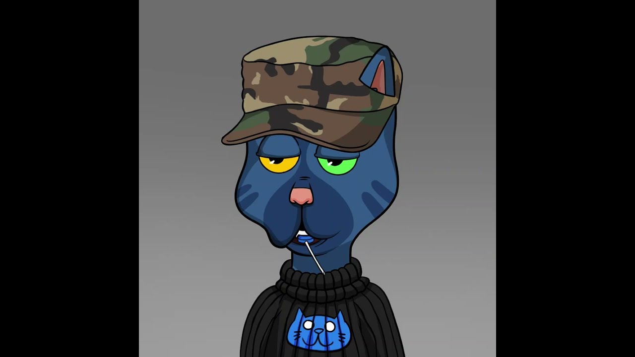 Breaking NEWS from The BOSS CAT ROCKET CLUB Liter member Boss Cat Cryptpo Kid!