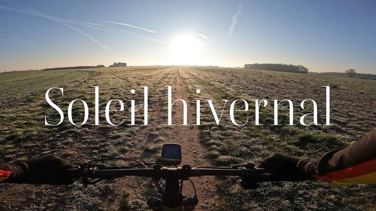 Soleil hivernal