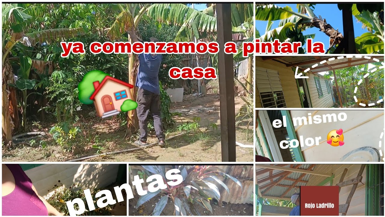 PARTE 1/PINTANDO NUESTRA CASA DEL CAMPO🏡 / CASI EL  MISMO COLOR / MI ESPOSO SE CAYÓ 😱