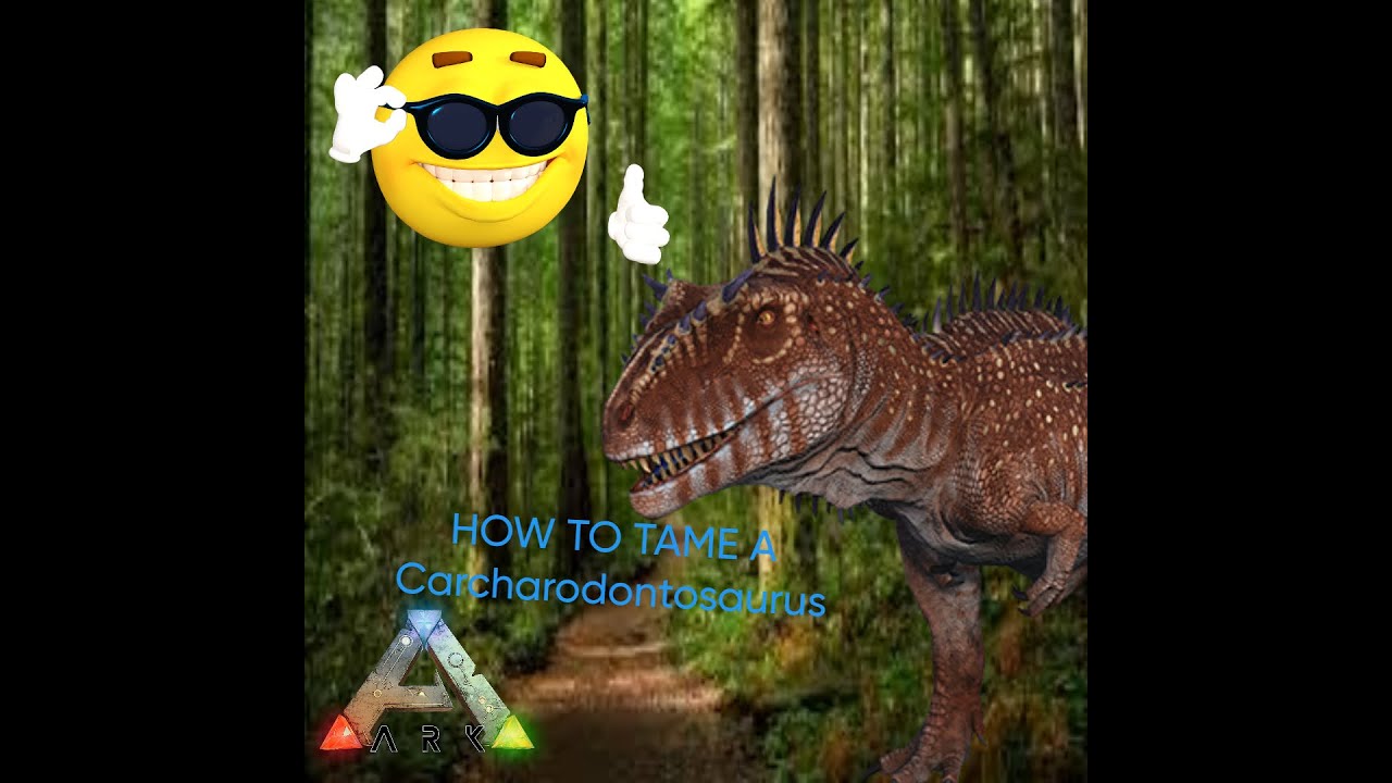 How To Tame A Carcharodontosaurus- Ark Survival Evolve