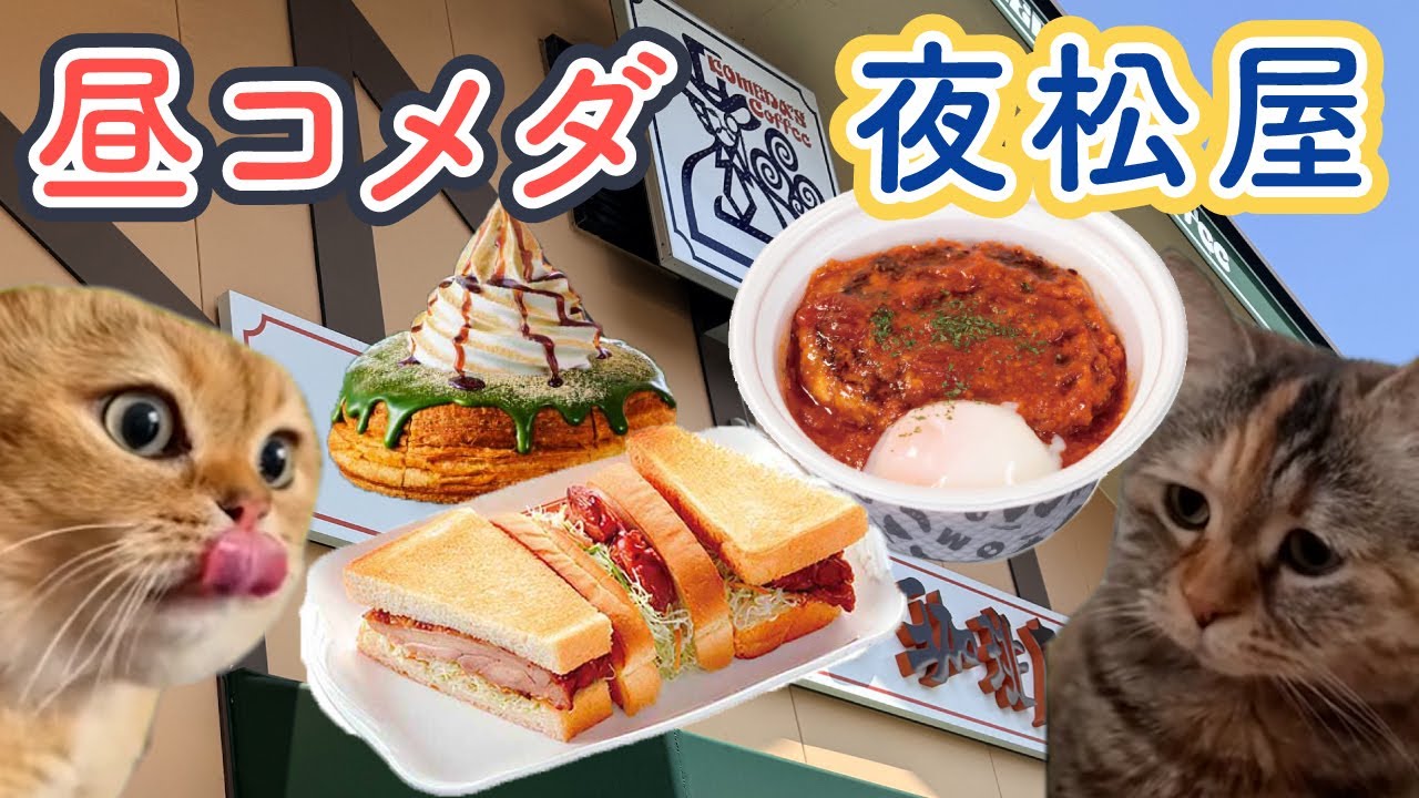 コメダと松屋でドカ食いハッピーサタデー #猫マニ #猫ミーム