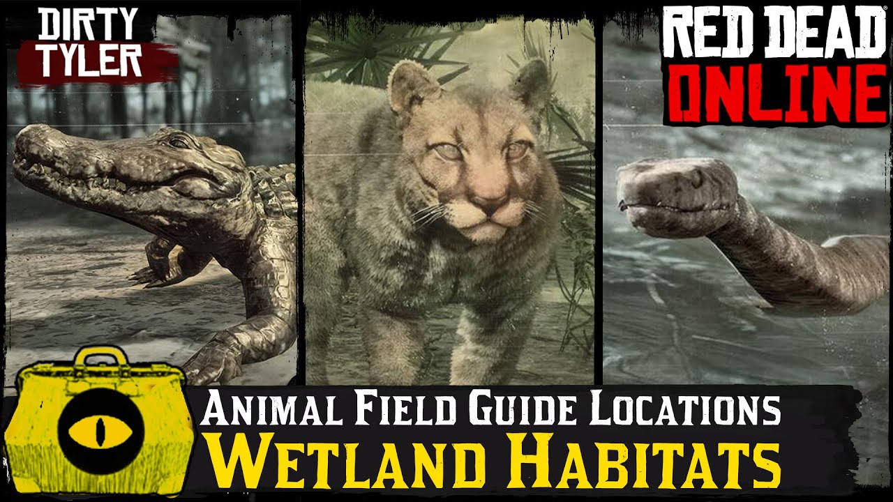 Red Dead Online:  All Wetland Habitat Animal Locations  (Animal Field Guide)[Naturalist Role] RDR2