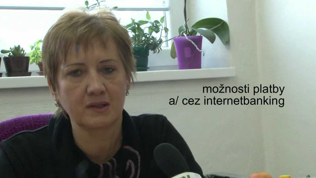 Daňové povinnosti občanov v roku 2012