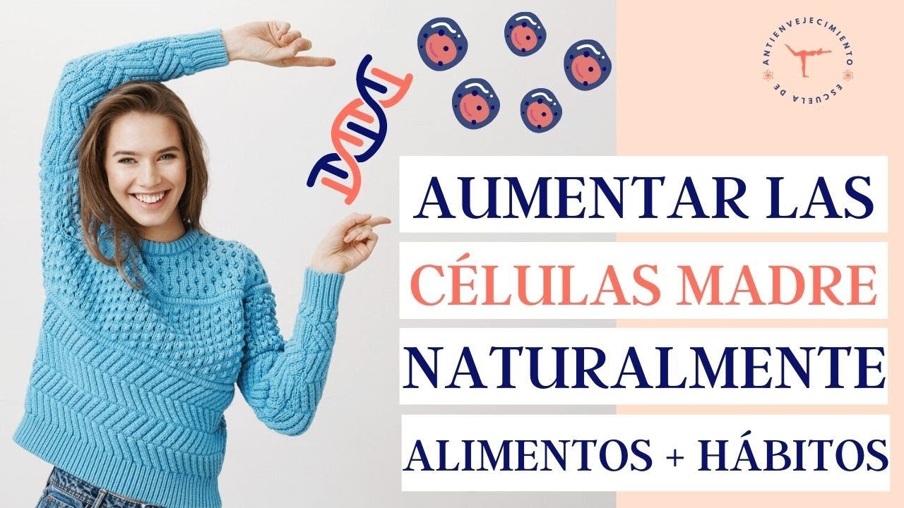 Cómo aumentar las CÉLULAS MADRE naturalmente | Explicación, qué son y para qué sirven