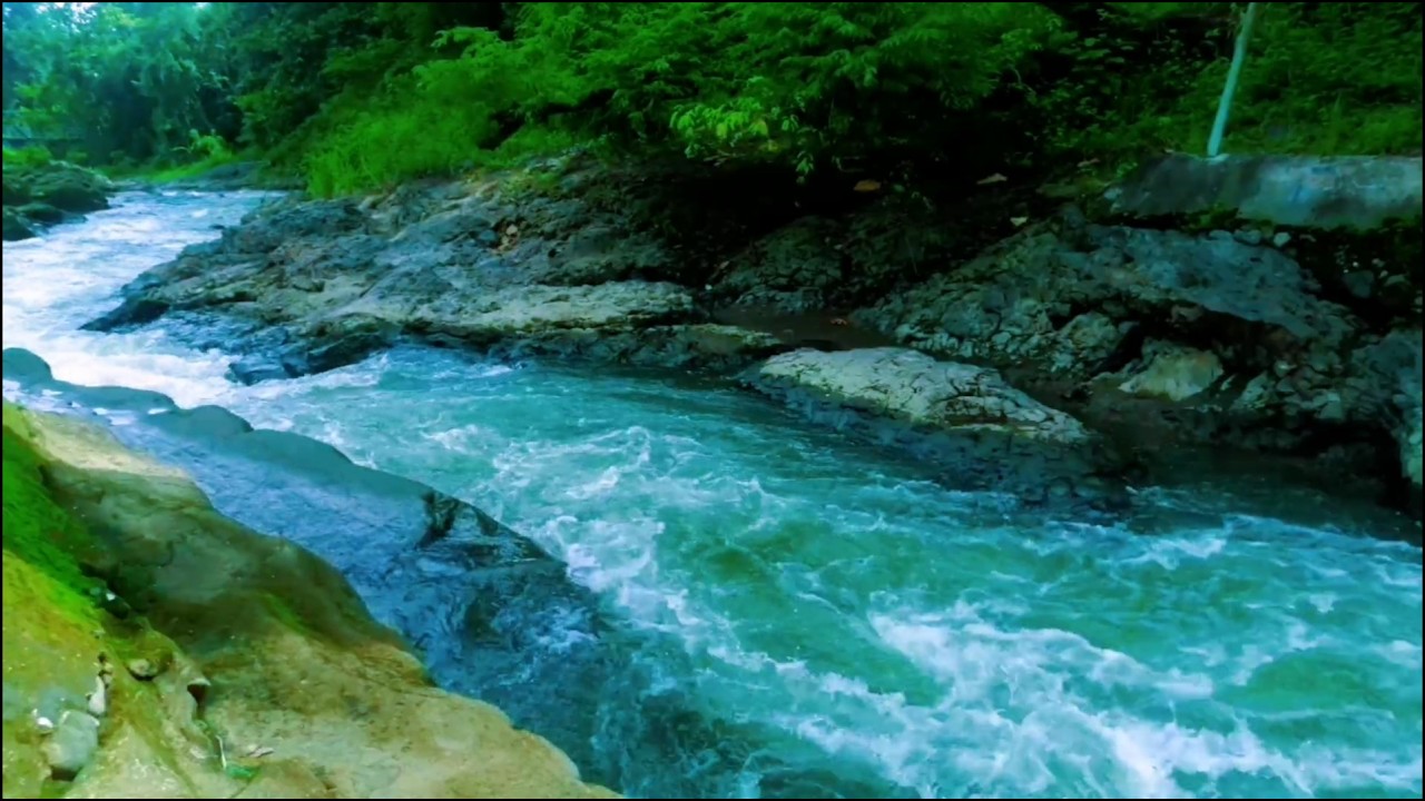 Serene River Ambience ASMR Nature Sounds White Noise for Deep Relaxation
