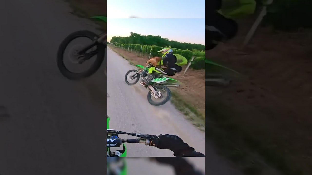 Violente collision entre un chevreuil et un motard #chevreuil #moto #accident