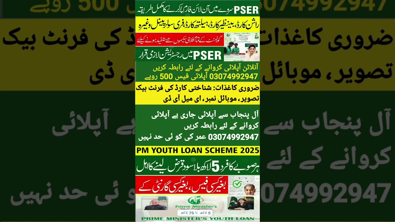 PSER | Pser Punjab gov Pk Online registration | Prime Minister Youth loan scheme 2025 #professoramir