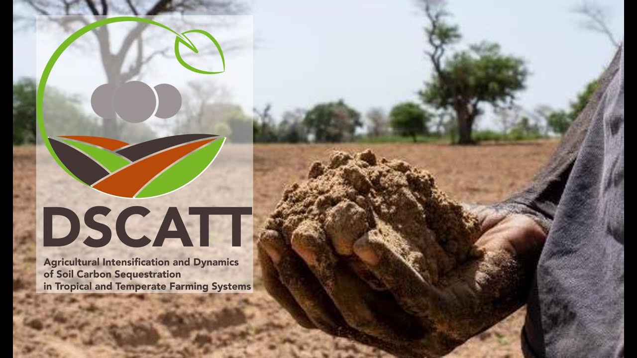 DSCATT Un projet de recherche sur la s&eacute;questration du carbone dans les sols