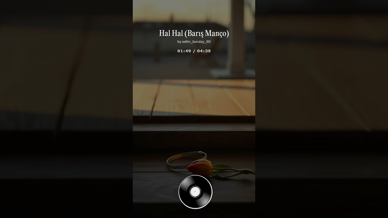 BARIŞ MANÇO HAL HAL 2025 NEW COVER 