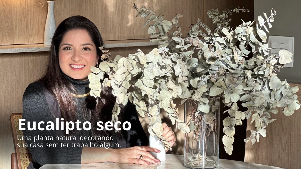 Eucalipto seco – tenha planta natural decorando a sua casa sem ter trabalho algum.