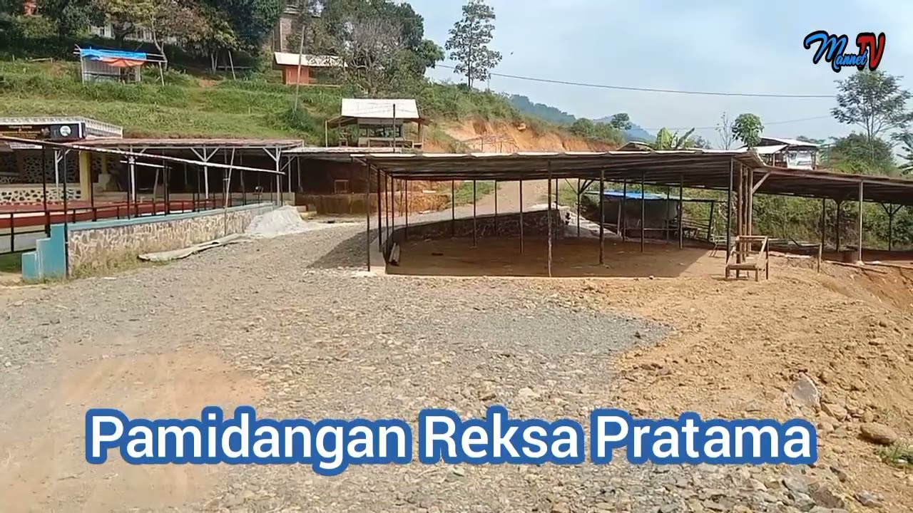 Persiapan untuk Ketangkasan domba adu garut di Pamidangan Reksa Pratama