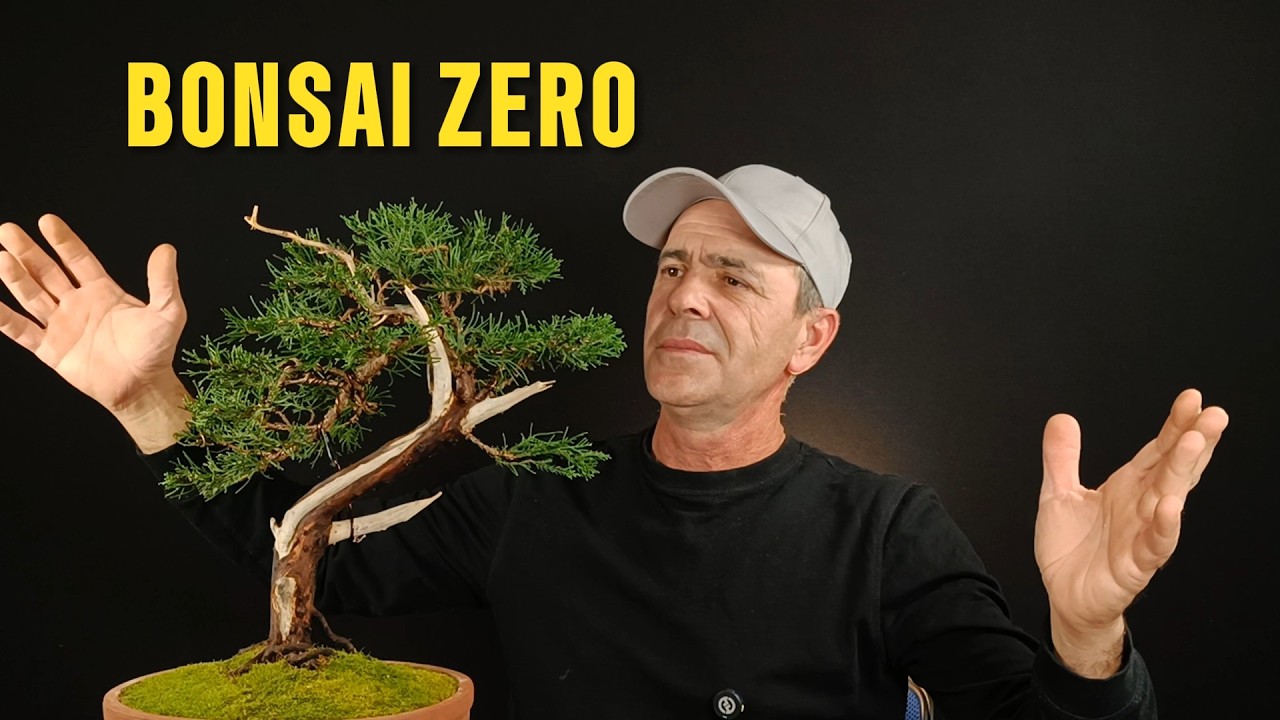 Bonsai Zero – Răbdare și Rafinare