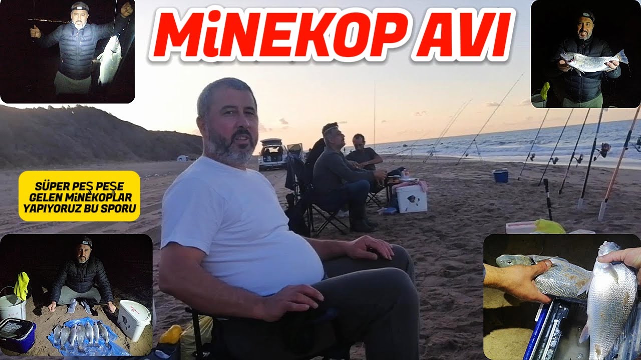 MİNEKOP BALIK AVI. PEŞ PEŞE GELEN MİNEKOPLAR.!! #fishing #fish #balikcobanii