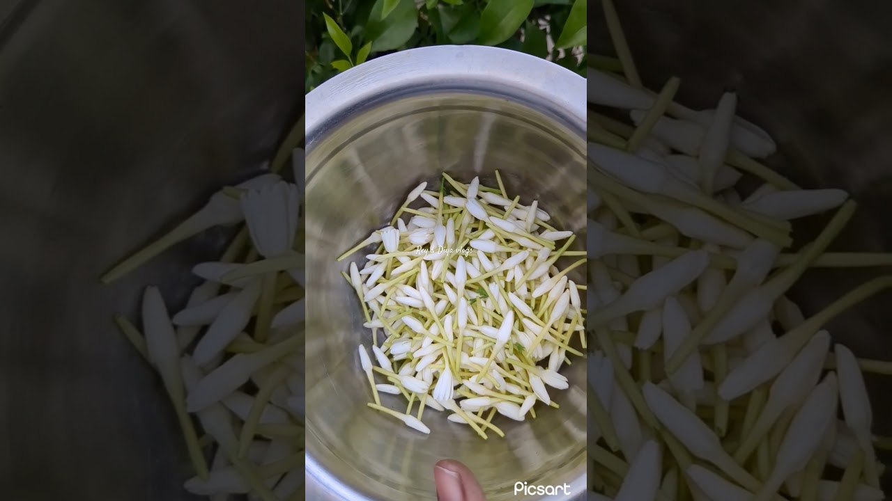 My hubby did this😄 Peaceful evening routine #minivlog #youtubeshorts #shortsfeeds #home #tamilshorts