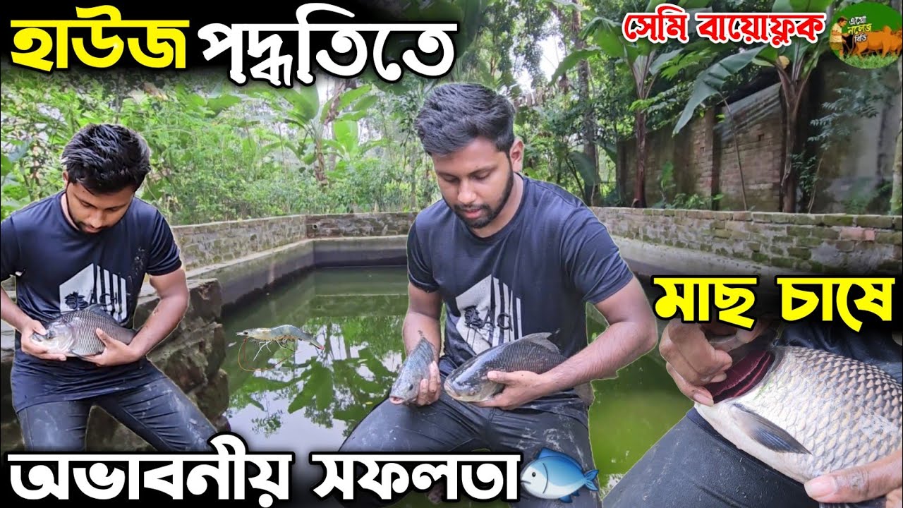 হাউজ পদ্ধতিতে মাছ চাষে অভাবনীয় সফলতার