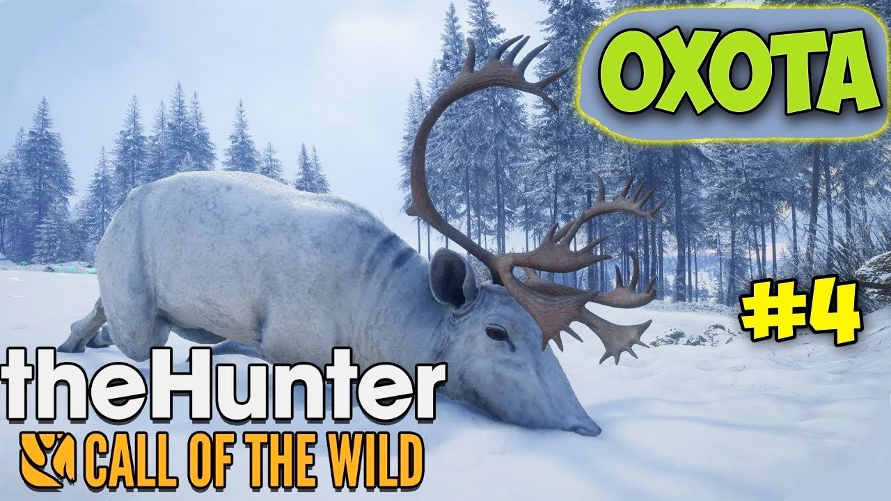 ЧТО ДЕЛАТЬ НА ОХОТЕ В МОРОЗ - The Hunter: Call of the Wild #4