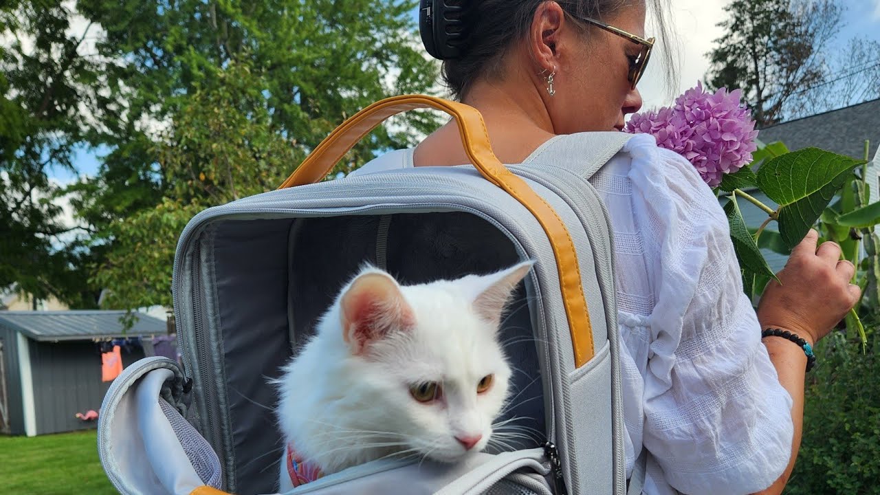 Is This The Best Pet Backpack: Unboxing & Review