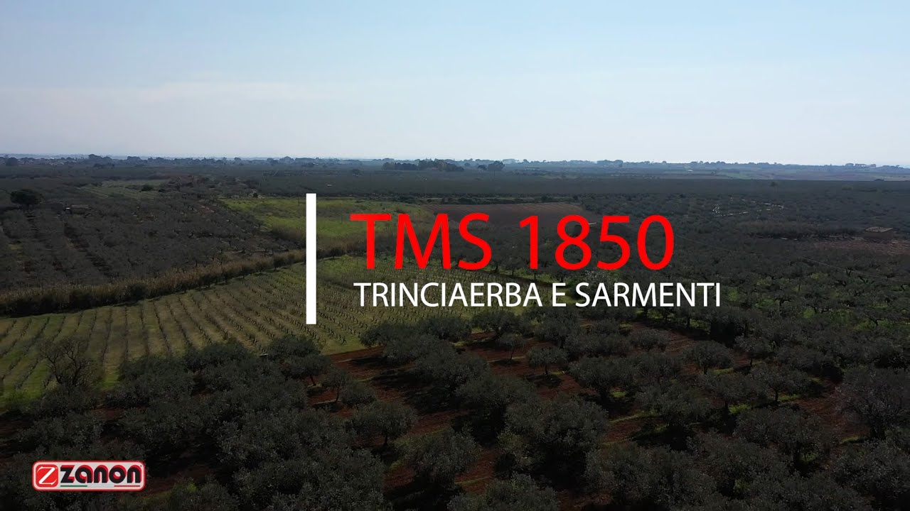 Trinciaerba e sarmenti extra pesante TMS 1850 | ZANON