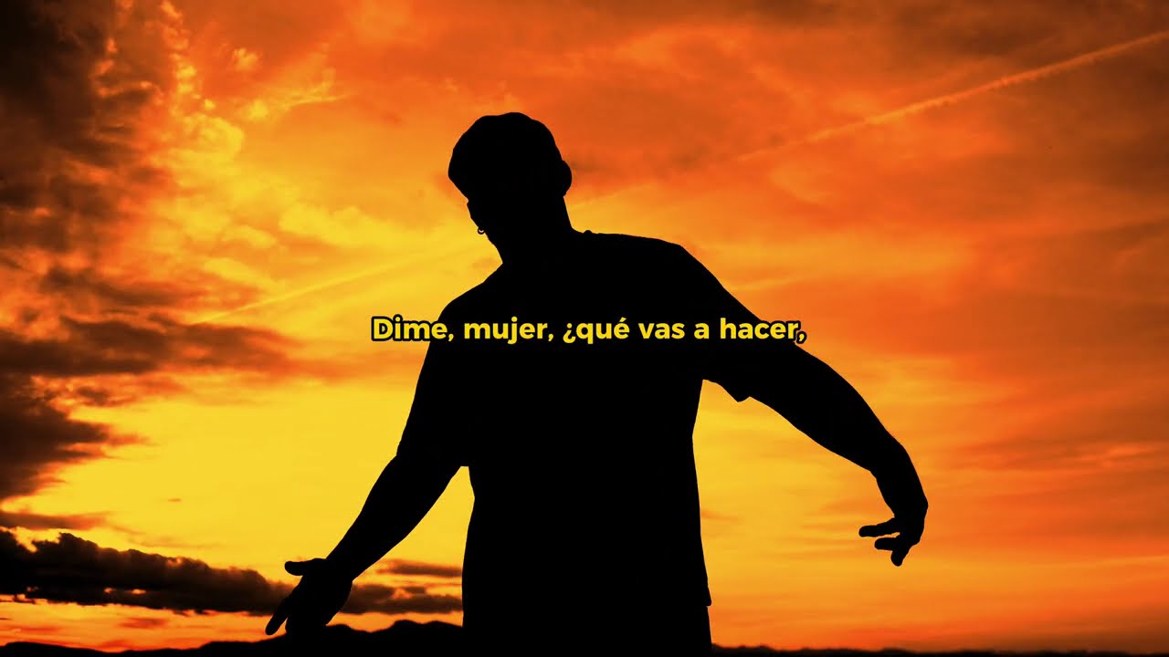 DaniMflow - PERSONA IDEAL (Visualizer)