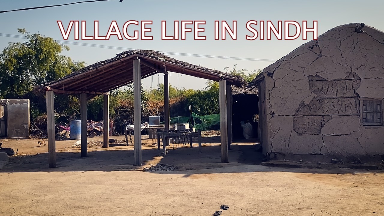 Village life in SINDH Pakistan