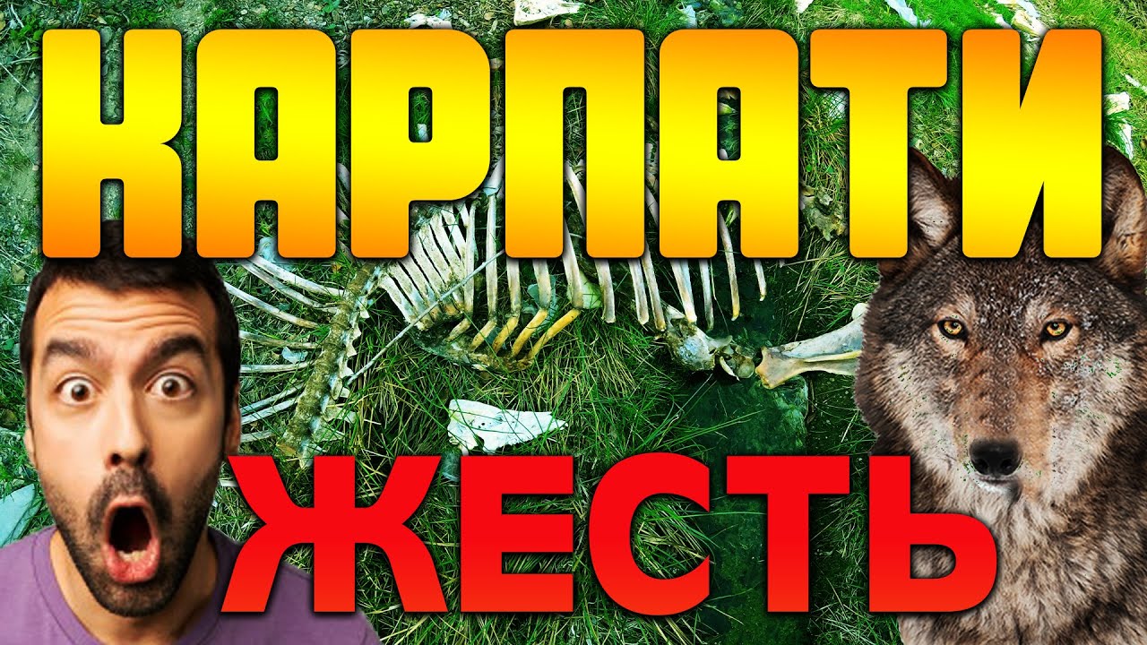 КАРПАТЫ ВОЛКИ ПРИШЛИ К НАМ / ЖЕСТЬ В ПОХОДЕ / ГЕН ВЫСОТЫ