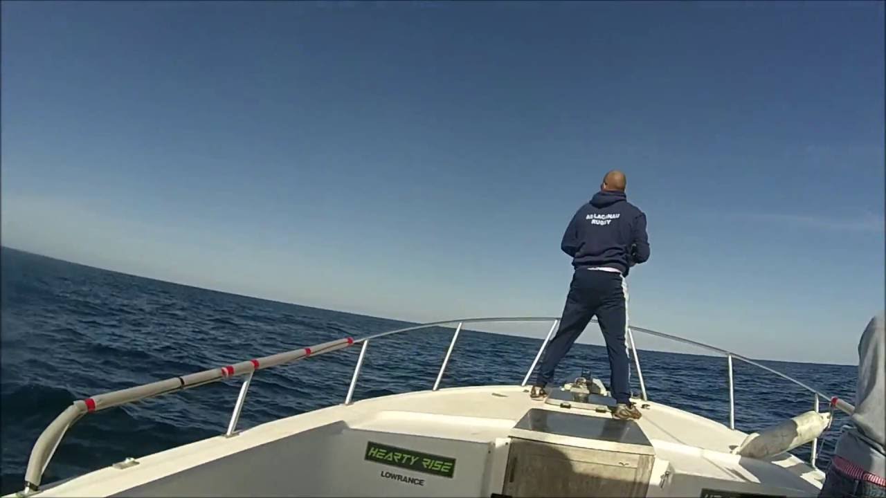 Pêche sur chasse du thon rouge atlantique