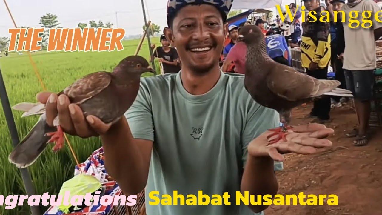 Lomba utama Sleknas Indramayu 2025 Masih berjaya Atas Nama Burung Wisanggeni dari Sahabat Nusantara