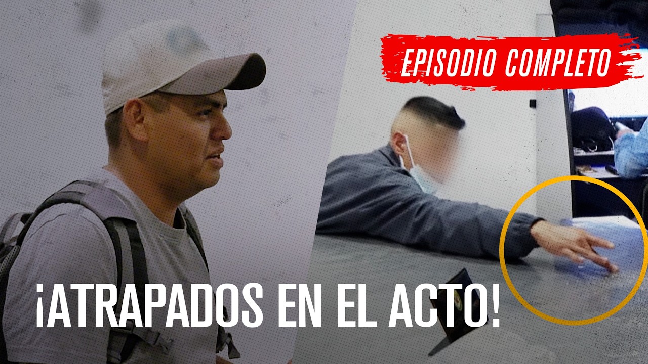 ✈ ¡Alerta Afganistán y traficantes ansiosos! 🛑 ¡Maratón! 🛑 Lo mejor de ¡ALTO! FRONTERA 🚧