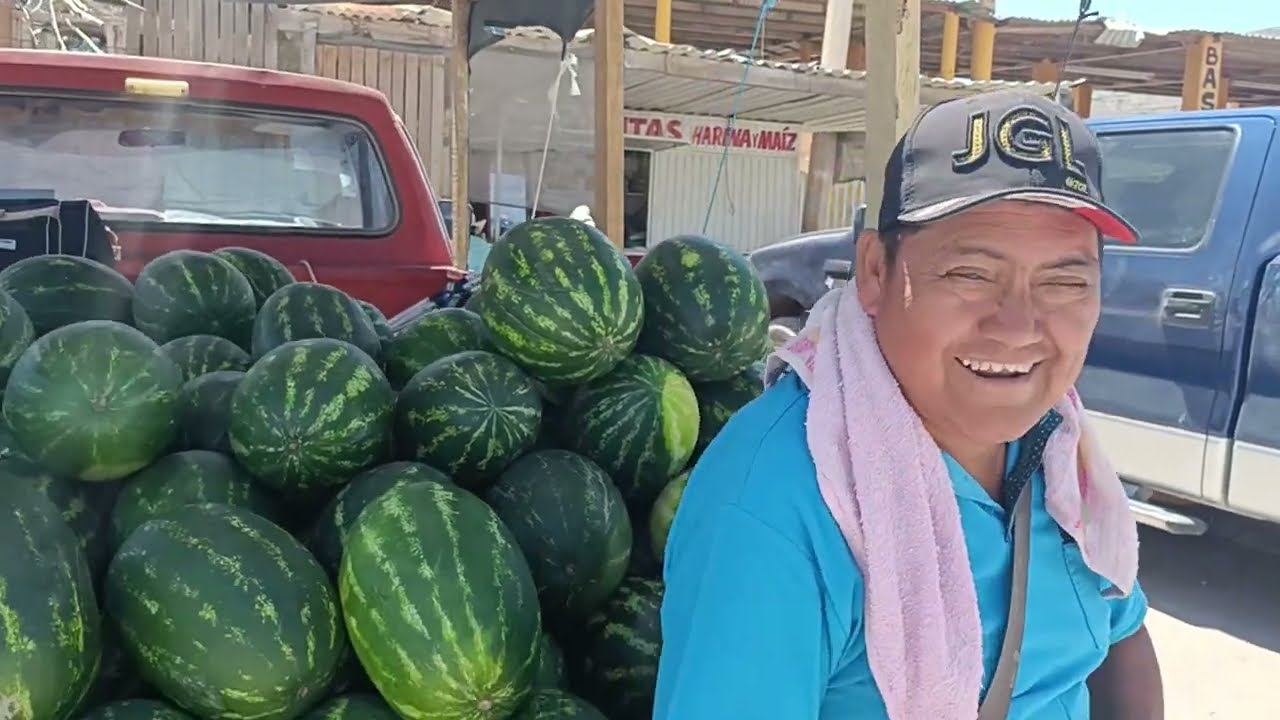 VAMOS POR MELONES Y SANDIAS YA ESTA CON TODO LA VENTA DE SANDIA Y MELON EN MATAMOROS 9 DE ABRIL 2024