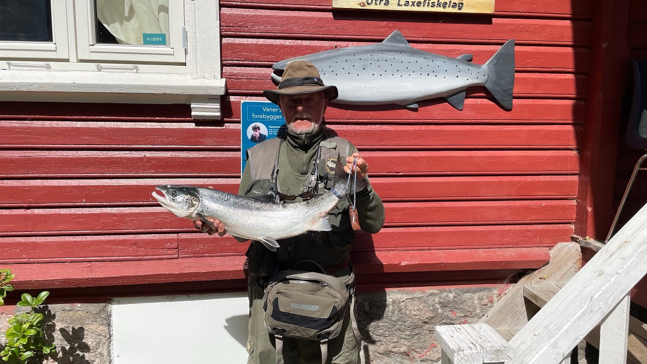 Laksefiskeri i Otra/Mandal juni 2022.