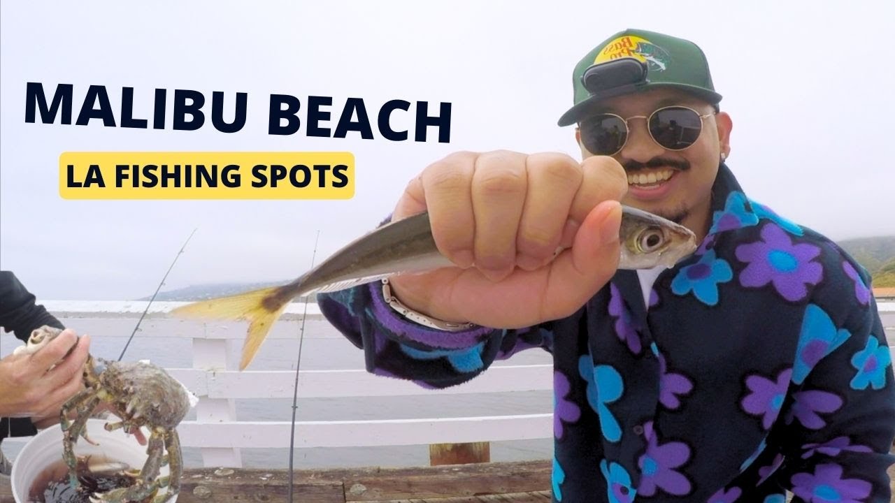 Top Fishing Spots Near Los Angeles: Explore Malibu Beach!