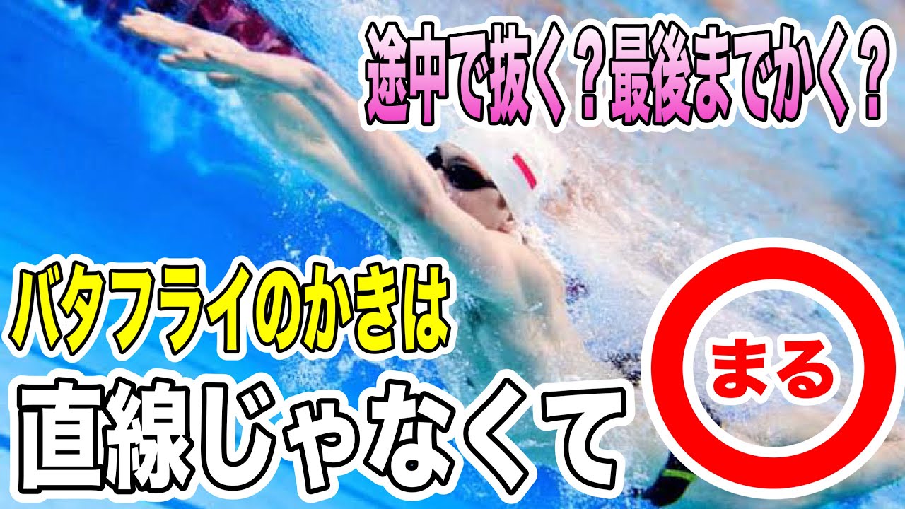 ストロークの長さと軌道　バタフライ編　#2270