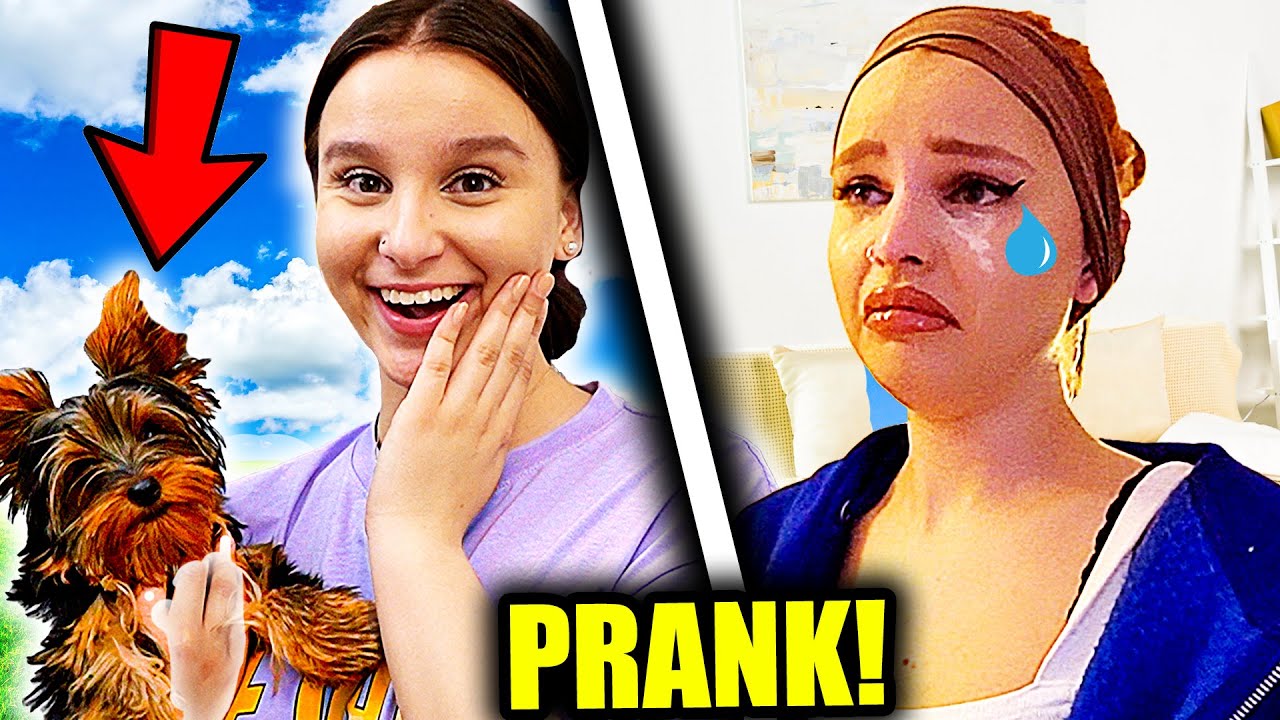 Ich habe einen HUND GEKAUFT ! 😳 (Schwester weint) - Celina