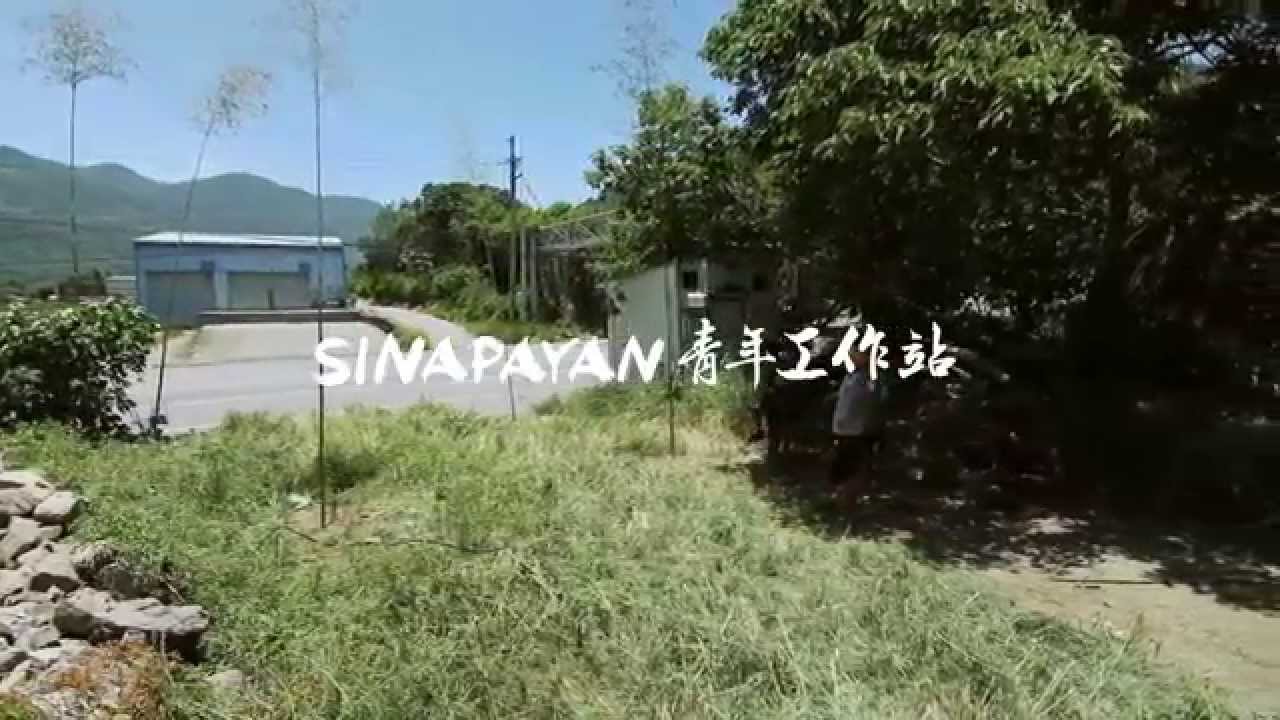 sinapayan青年工作站｜整地立竹子｜紀錄短片｜猴子拿相機 Matsa Ape