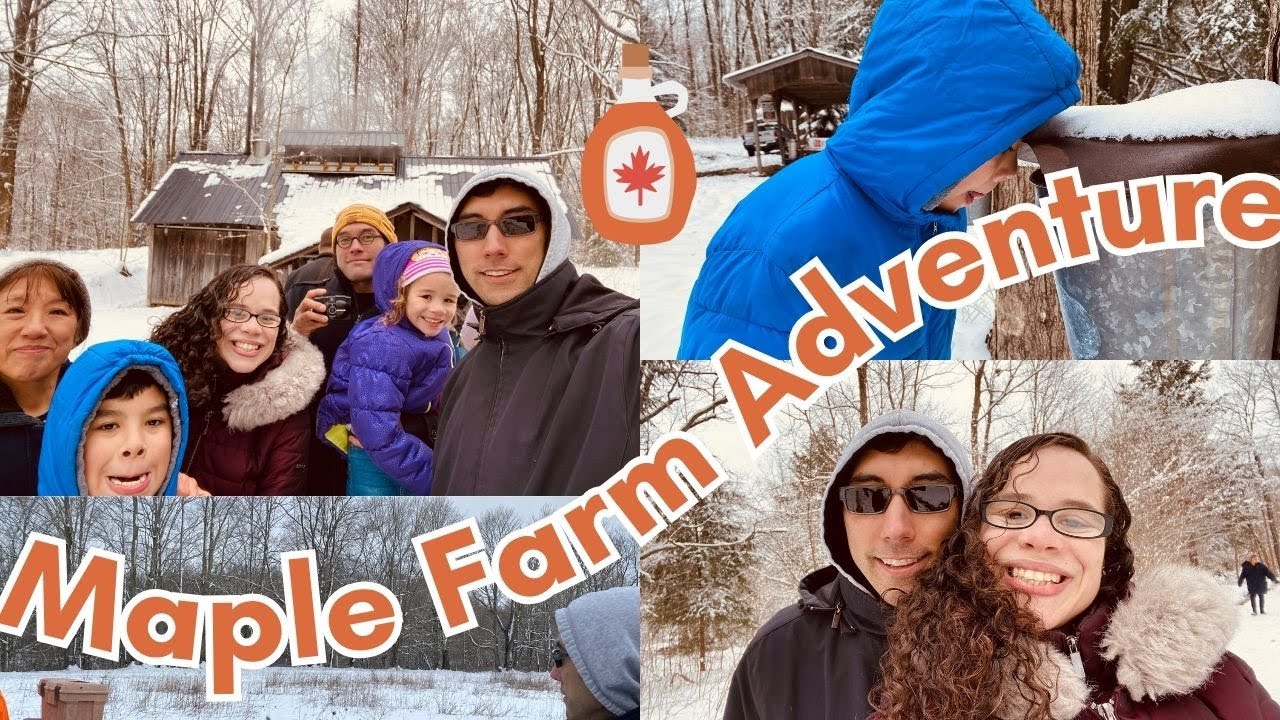Learning all about Maple Syrup | Abeka 4th grade