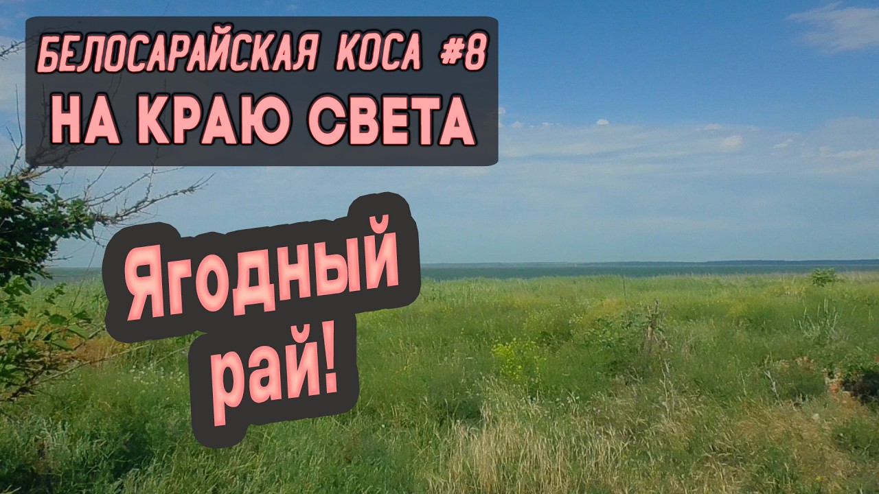 ⛺ Белосарайская коса #8. На краю света. Ягодный рай!