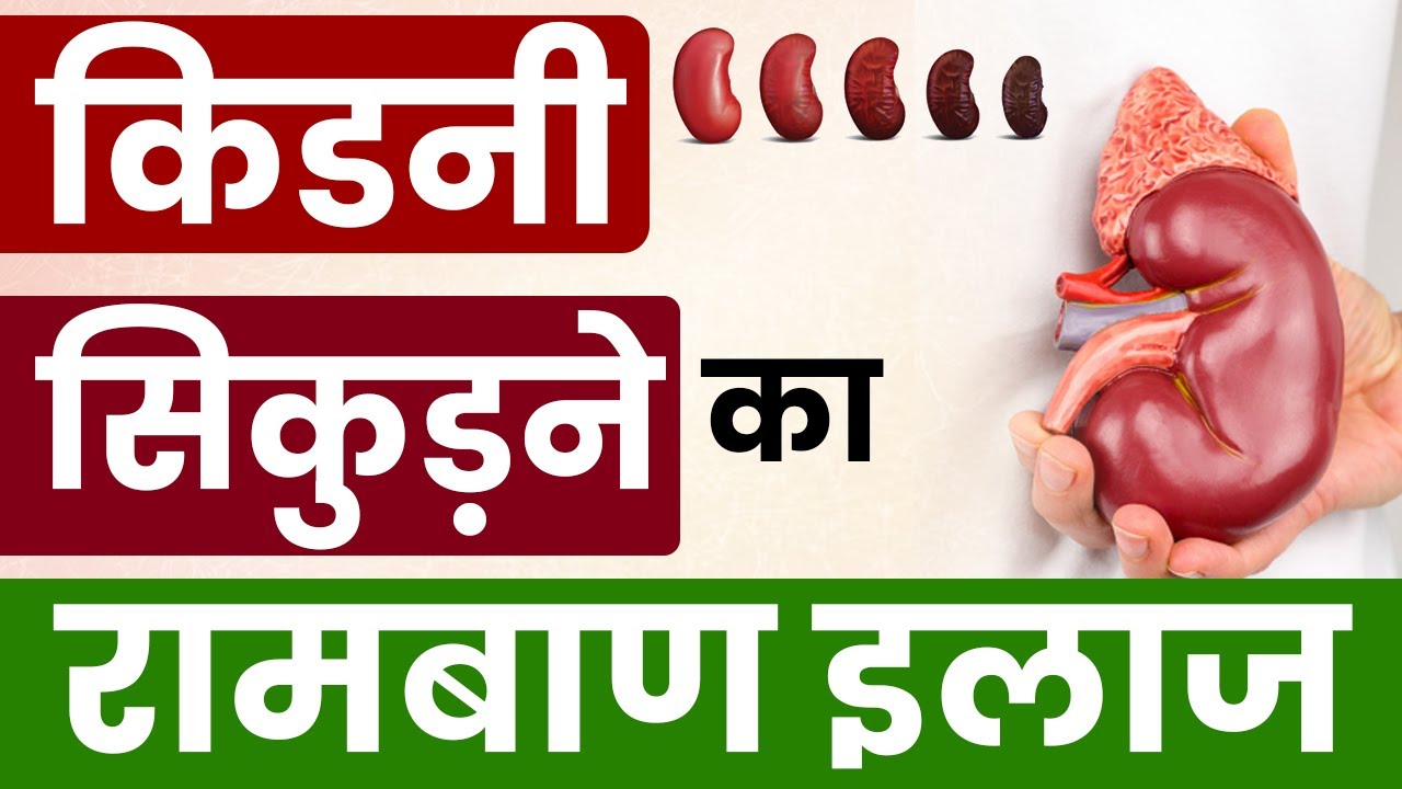 किडनी सिकुड़ने का कारण और इलाज | Kidney Shrinkage Causes & Treatment | DR Puru Dhawan