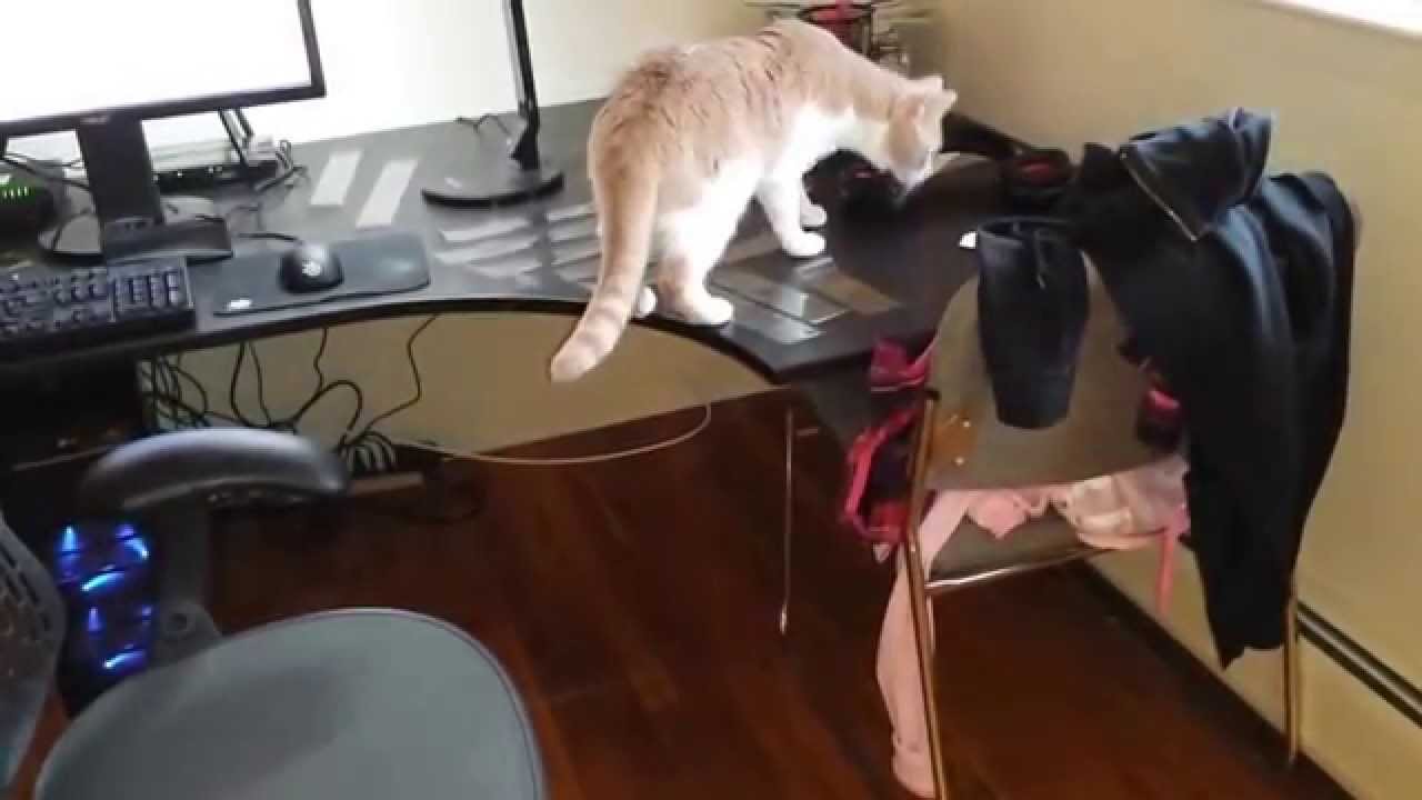 BEST FUNNY VIDEO COMPILATION #3 [APRIL 2014]