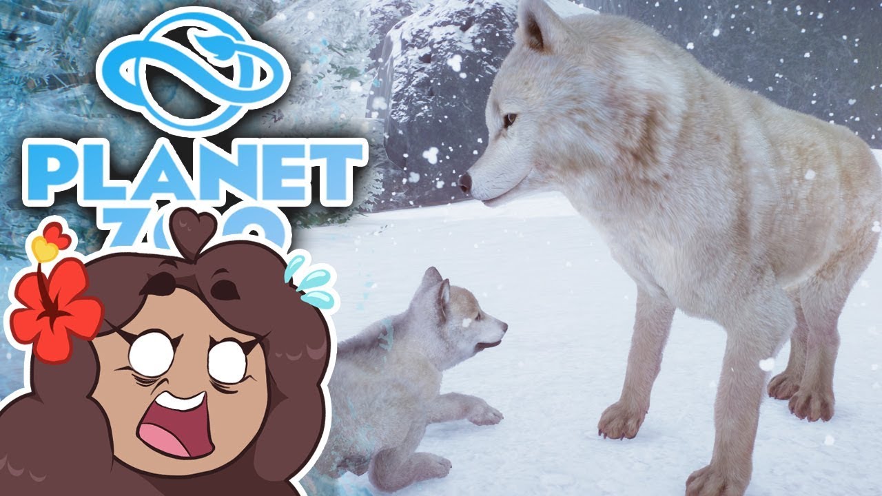 Absolute PANIC!! ... Also WOLF Pups!! 🐏 Planet Zoo: Ice Ice Outpost • #30