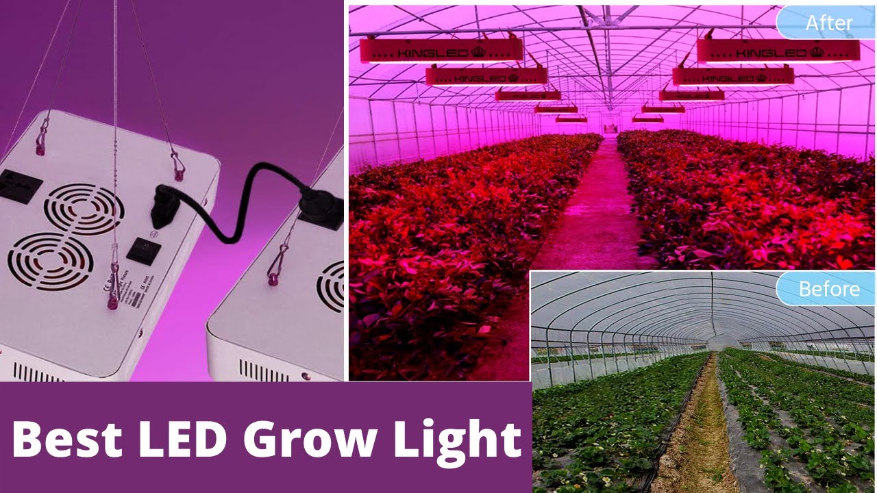 10 BEST LED Grow Lights 2021-Grow Light On The Market