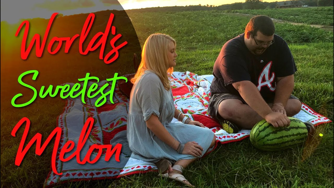 World's Sweetest Melons