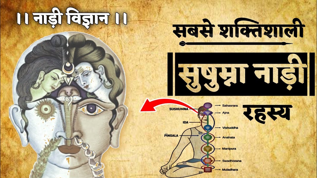 सुषुम्ना नाड़ी शक्ति कैसे जागृत करें | इड़ा, पिंगला, सुषुम्ना नाड़ी का रहस्य