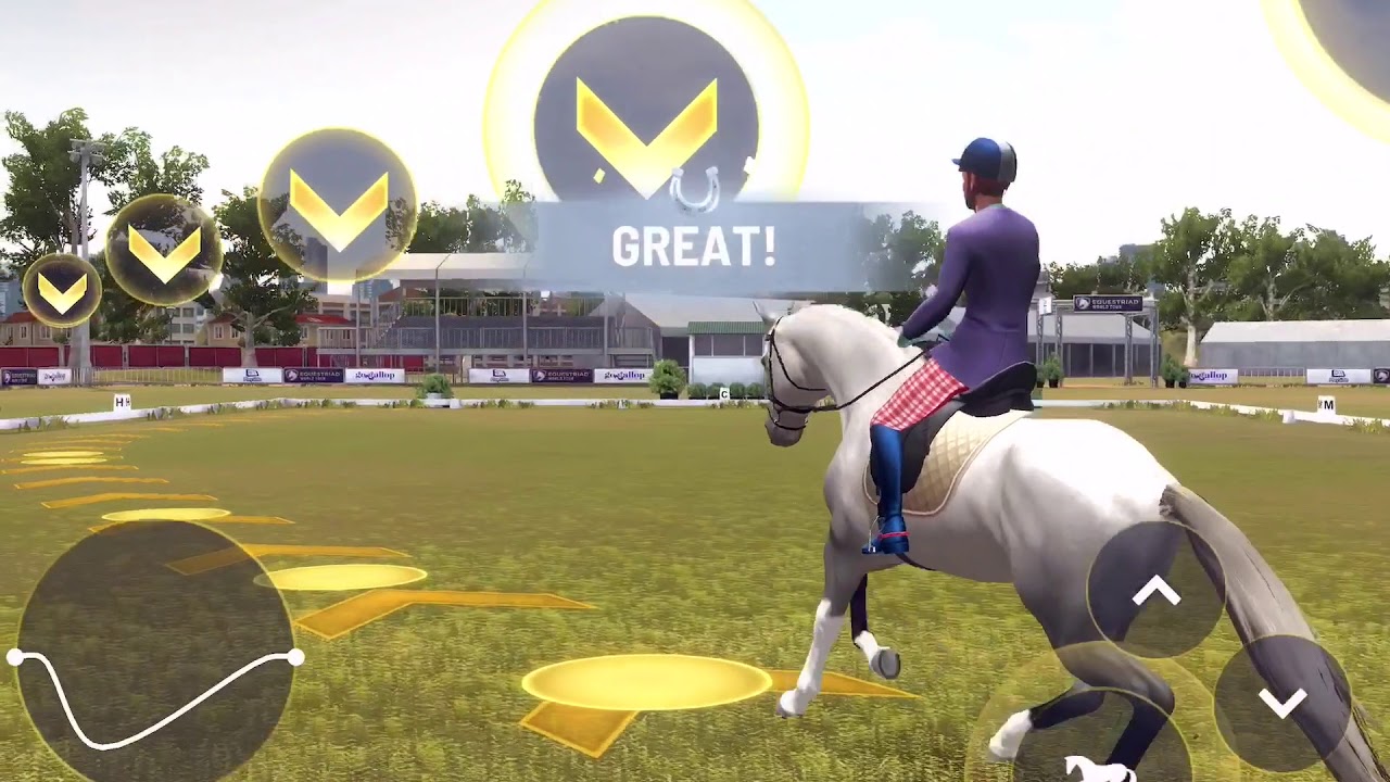 AUSINT3DE Dressage Gameplay