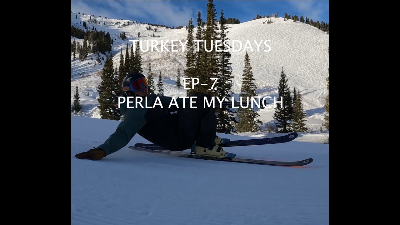 TURKEY TUESDAYS: EP-7 PERLA ATE MY LUNCH
