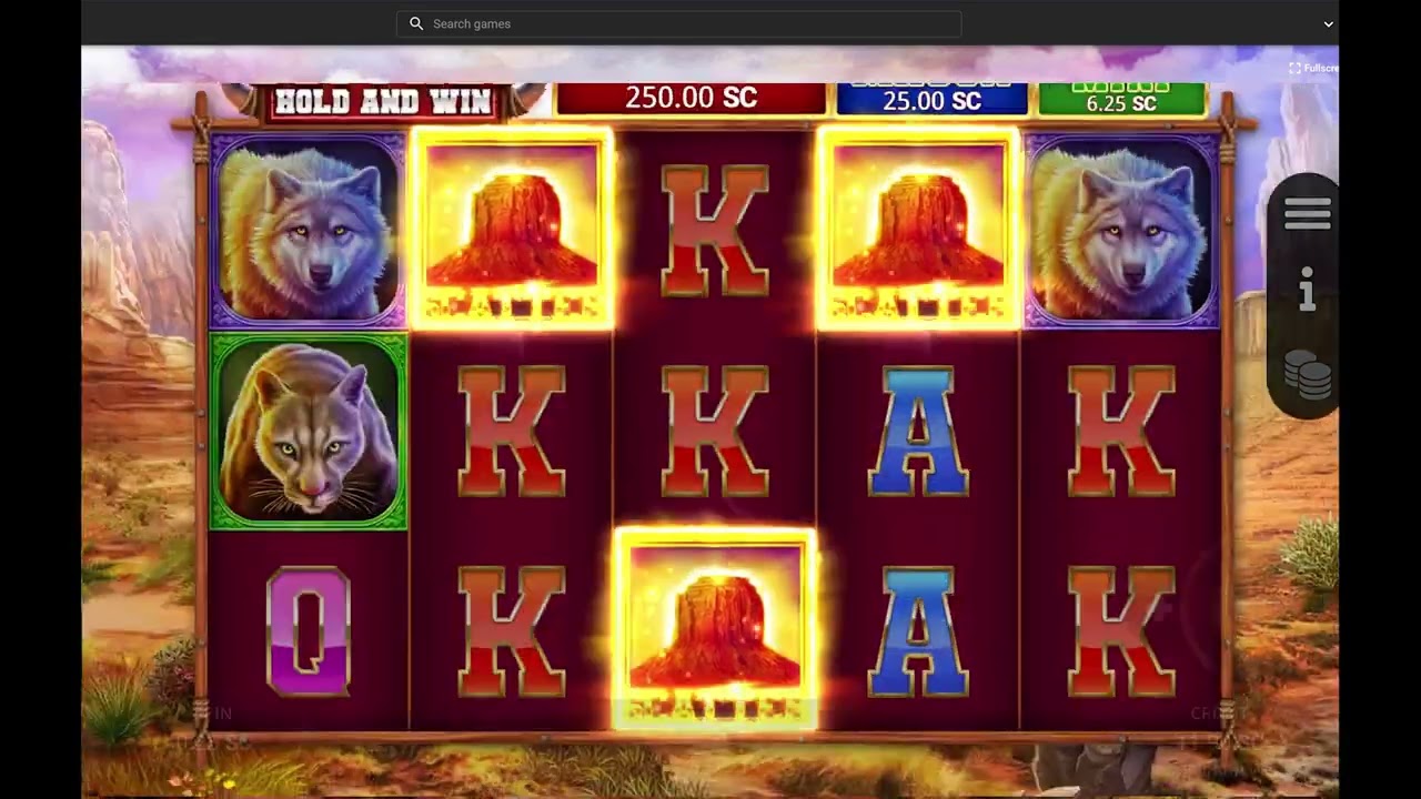 Fortune Coins: Buffalo Hold and Win