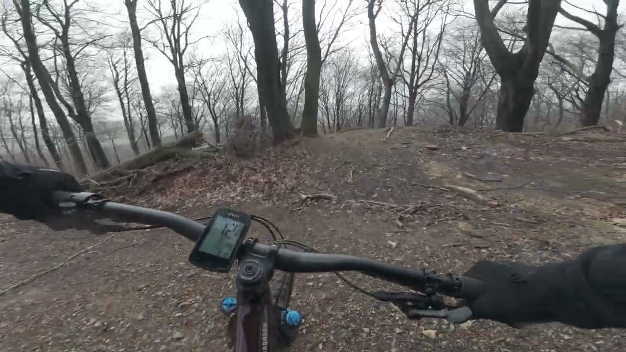 DJI 20260221135424 0006 D